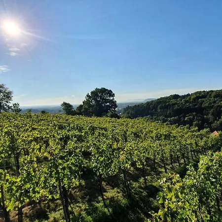 Weingut & Lenhard *